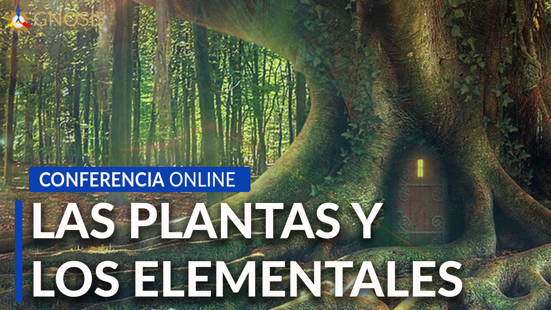 Gnosis Argentina: LAS PLANTAS Y LOS ELEMENTALES