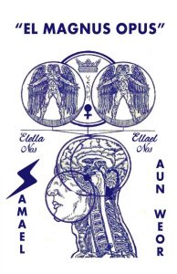 Gnosis Argentina: EL MAGNUS OPUS
