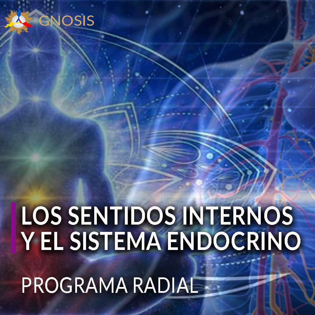 Gnosis Argentina: LOS SENTIDOS INTERNOS Y EL SISTEMA ENDOCRINO