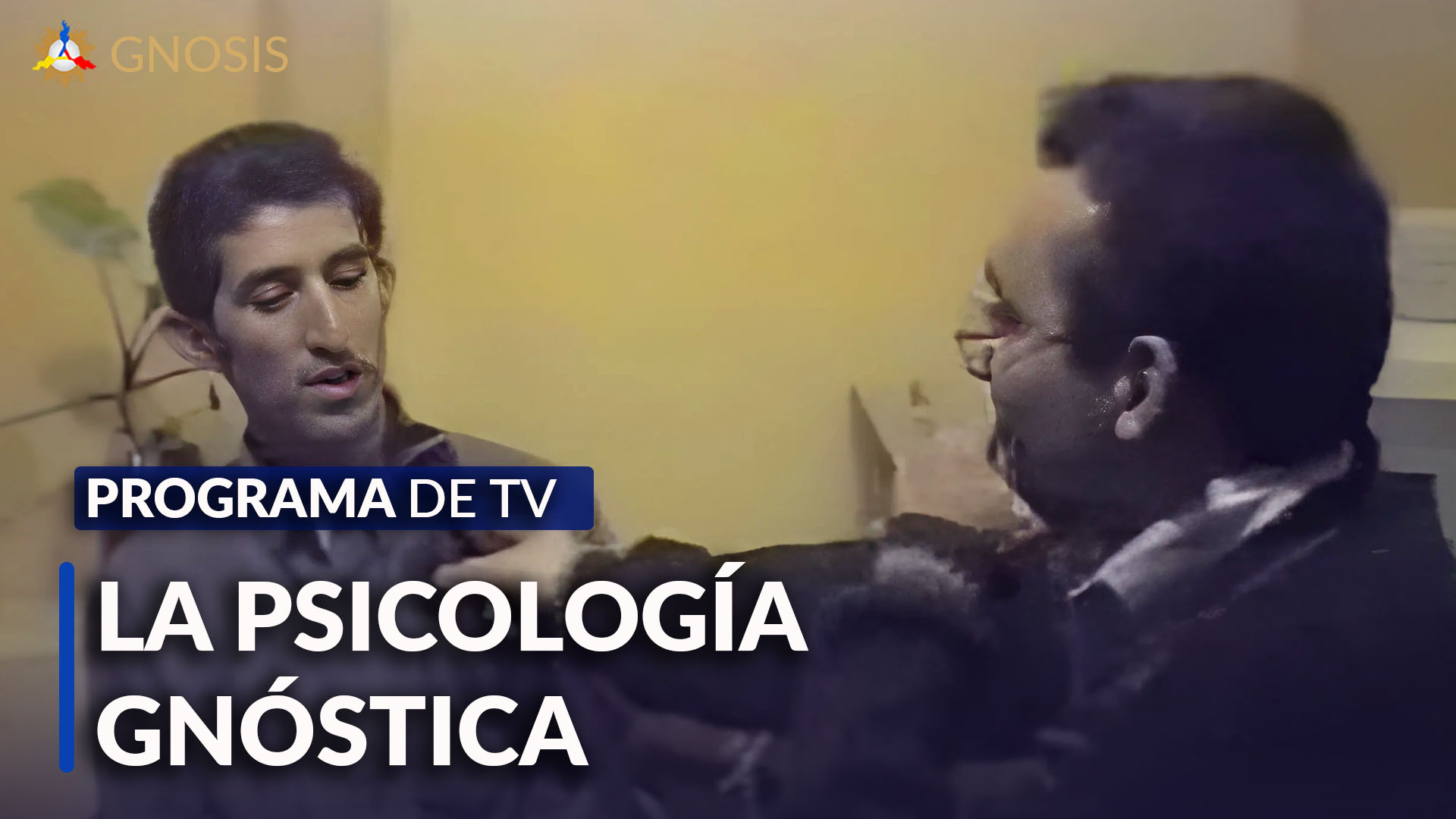 Gnosis Argentina: LA PSICLOGÍA GNÓSTICA