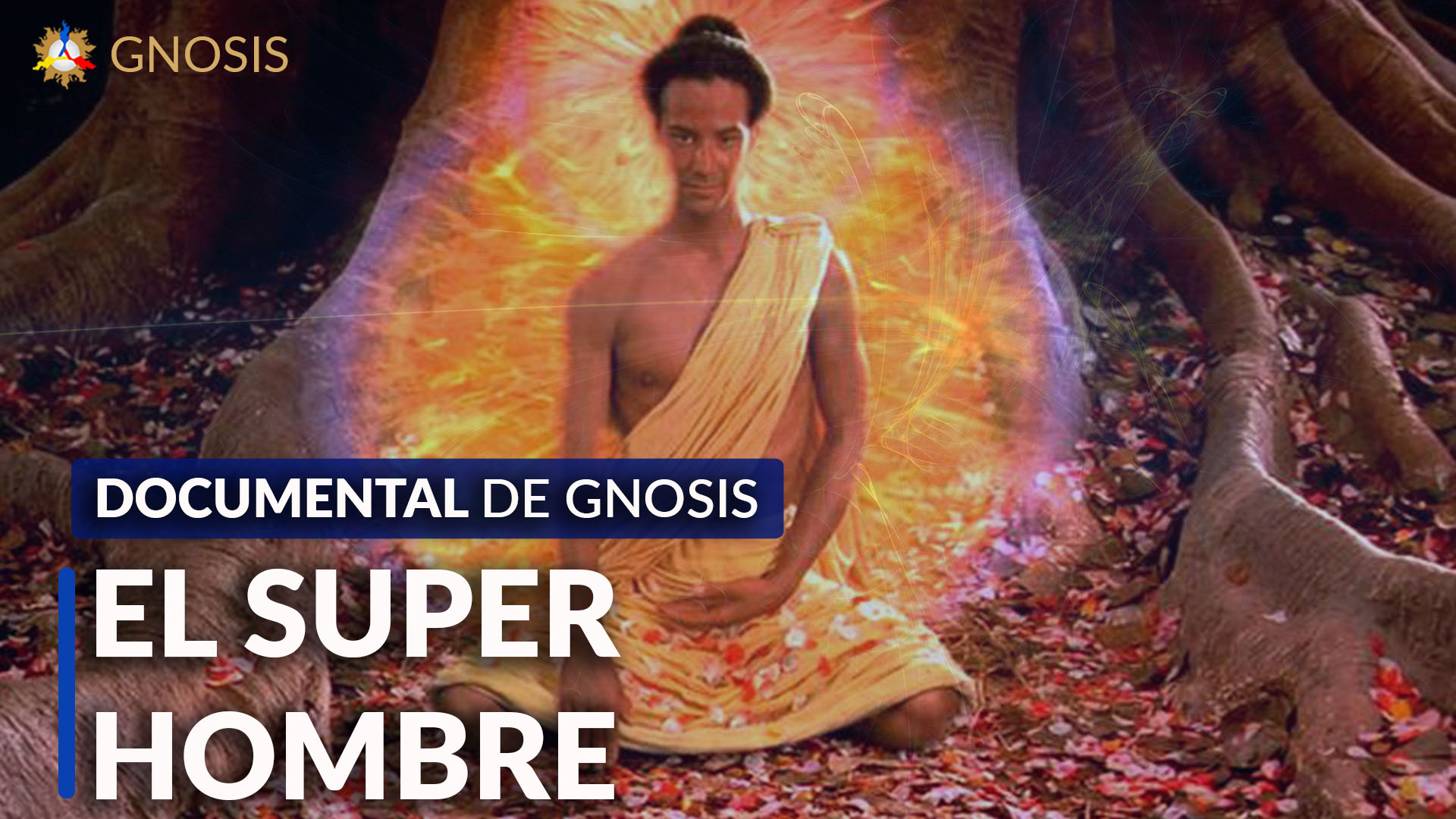 Gnosis Argentina: EL SUPER HOMBRE