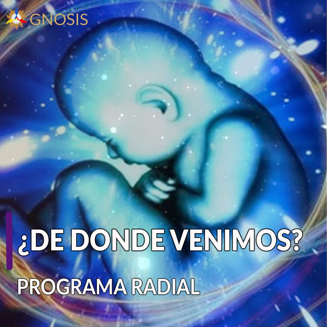 Gnosis Argentina: ¿DE DONDE VENIMOS?