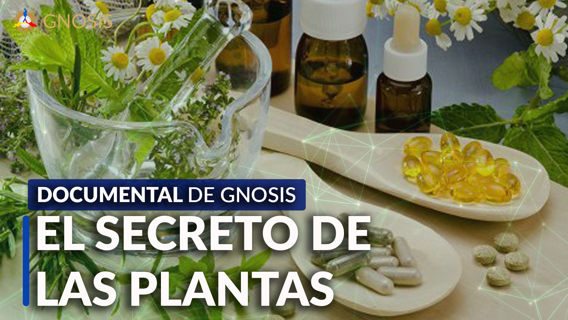 Gnosis Argentina: LOS SECRETOS DE LAS PLATAS
